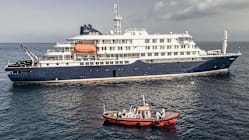 Related article image