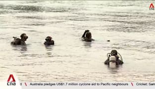 Singapore dive operators prepare to scale up Sisters’ Islands Marine Park