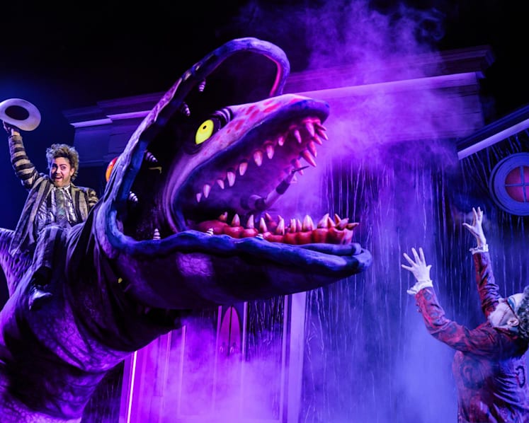 Beetlejuice show in Singapore suddenly cancelled ahead of January premiere