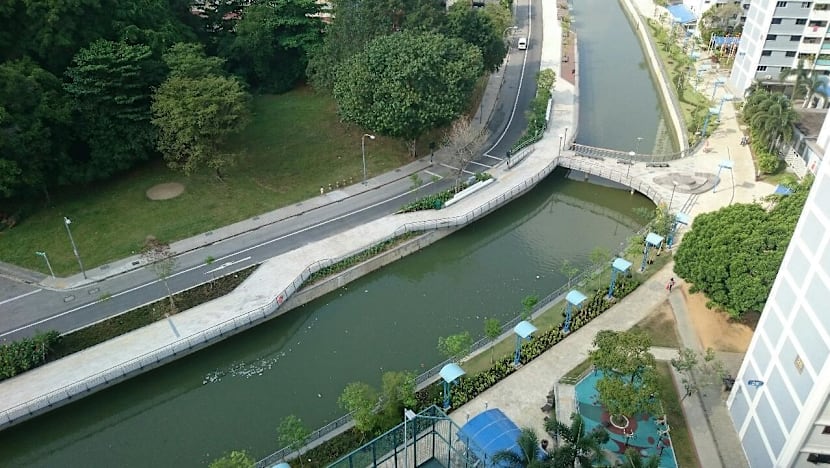 Revamped Rochor Canal to officially open this Sunday