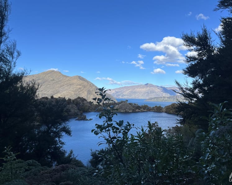 After 2 difficult pandemic years, I found closure – and rediscovered bliss – in New Zealand