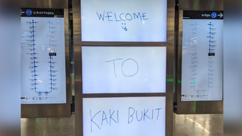 Seni pemasangan di MRT Kaki Bukit ini undang reaksi campur baur warga siber