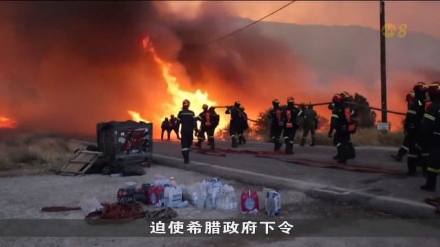希腊希俄斯岛发生大火 居民被迫疏散到安全地方