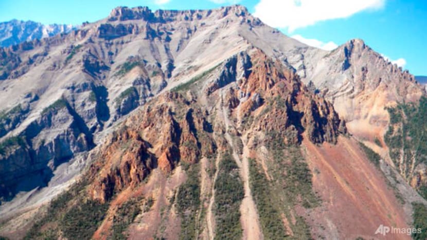 Oldest fossils of animals may be in Canada rocks, study says