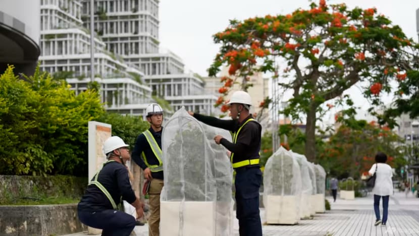 Jepun bersiap sedia hadapi hujan lebat ketika Taufan Mawar hampiri Jepun bersiap sedia hadapi hujan lebat ketika Taufan Mawar hampiri
