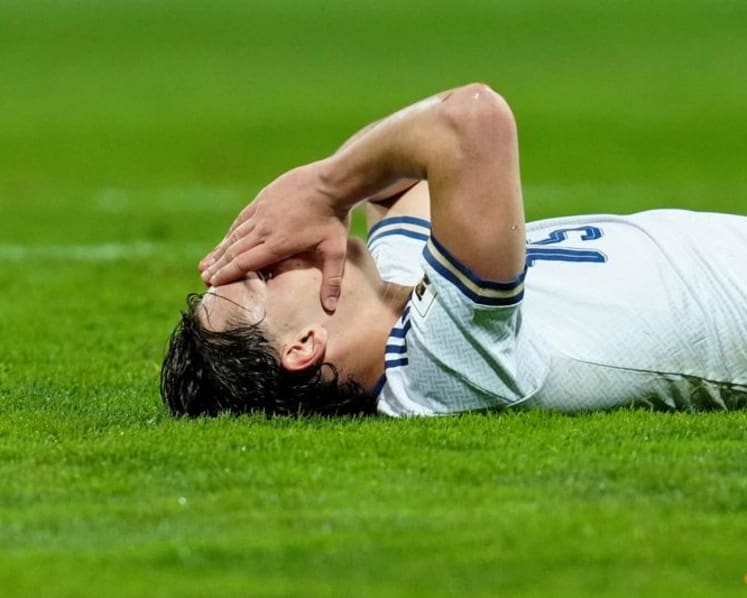 Italy's sport minister asks football chief to step down after World Cup disaster