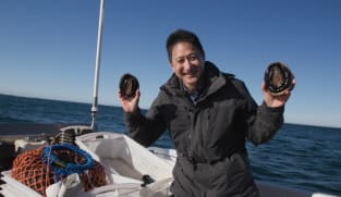 Talking Point 2025/2026 - Abalone: Why Is It So Expensive?