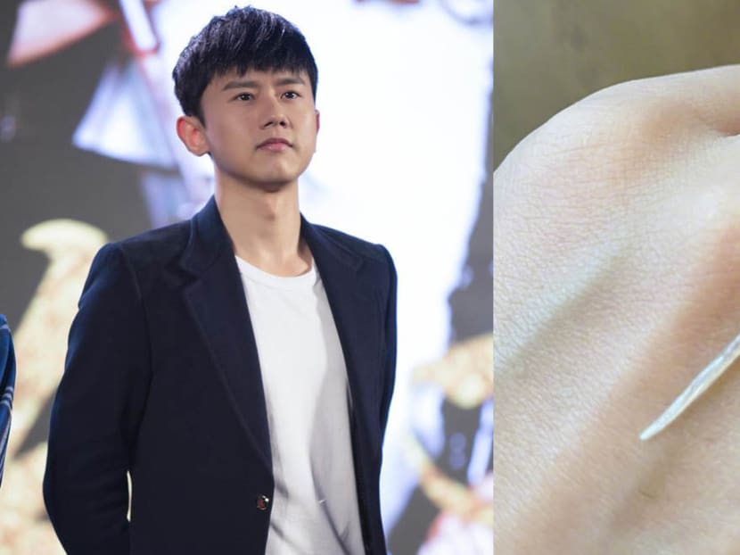 That's one big bone.