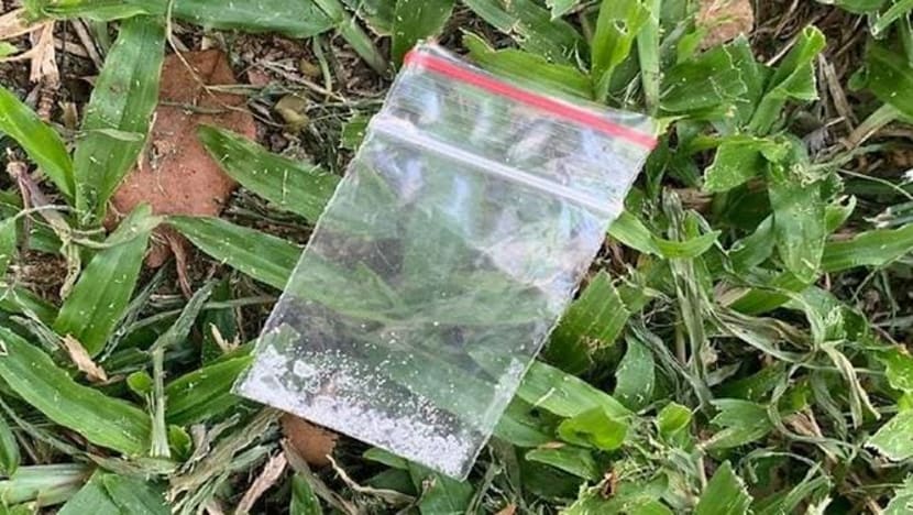 Suspected drug offenders arrested during drug party; youngest suspect aged 13