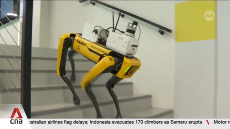 New IMDA initiative to help 500 firms adopt autonomous robots in next three years