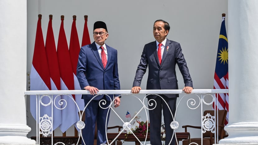Lawatan rasmi 2 hari ke Indonesia capai matlamatnya, kata PM Anwar 