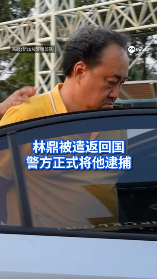 林鼎被遣返回国 警方将他正式逮捕