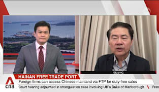 Hainan’s zero-tariff push to boost tourism, trade and talent flows: Analyst