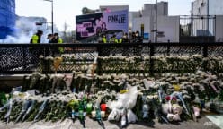 Itaewon Halloween crush, Gujarat bridge collapse put spotlight on mental health