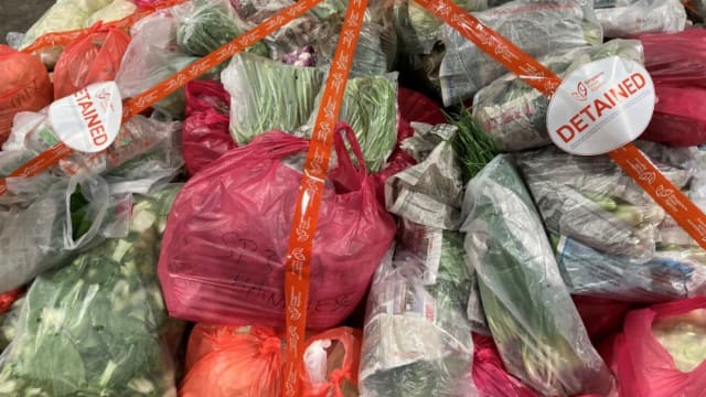 本地蔬果批发商因非法进口农产品进行销售 被罚款8800元