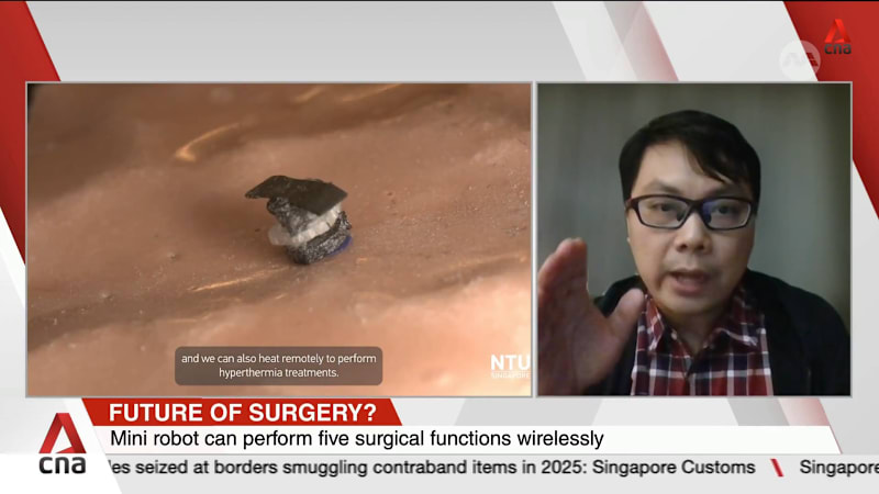NTU scientists develop seed-sized surgical robot