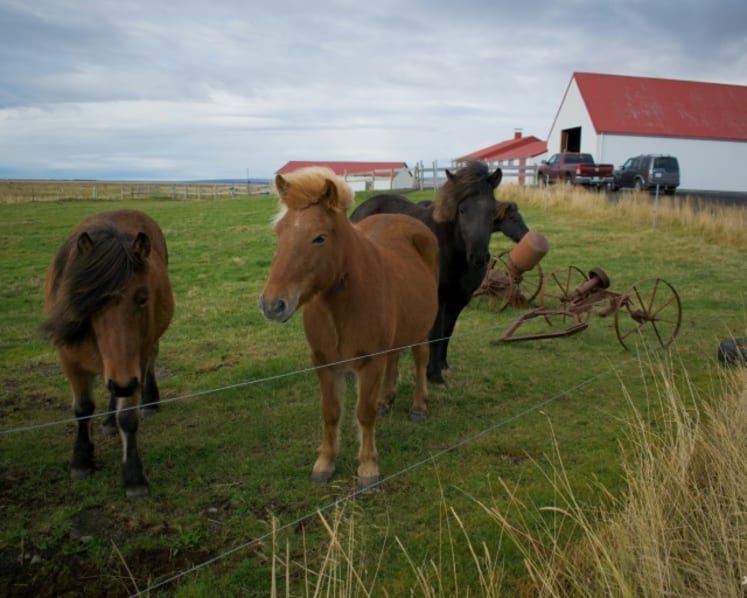 Turning carbon dioxide into stone: Inside Iceland’s innovative push toward sustainability