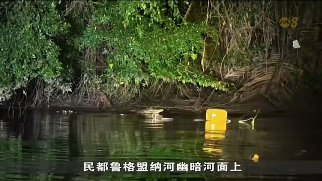 马国砂州今年九起鳄鱼袭击案 当局展开猎捕
