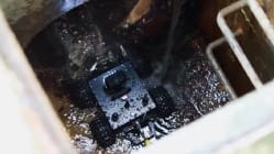 Related article image