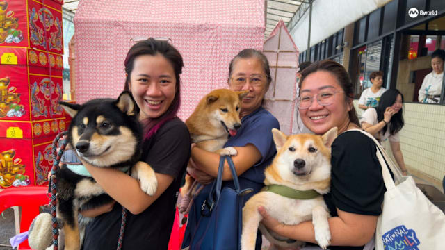 本地庙宇首办中元宠物祈福会 吸引年轻饲主参与
