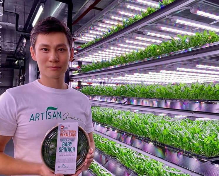 From Macau's casinos to a Kallang farm: The gaming industry professional who now grows baby spinach