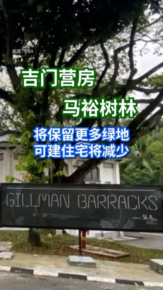 20260814_alvin_tan_gillman_barracks_maju_forest
