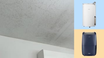 00_mould_and_dehumidifiers_1