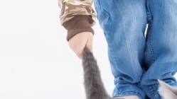 Related article image