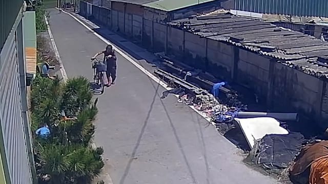 台湾老妇遭三狗袭击 全身百处伤口住院