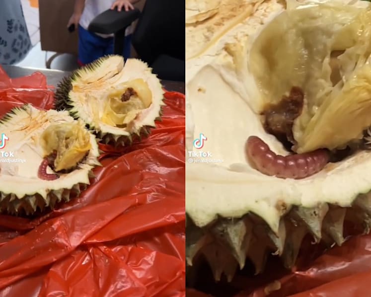 #trending: Horrified family finds caterpillar inside durian, causing some netizens to swear off the fruit