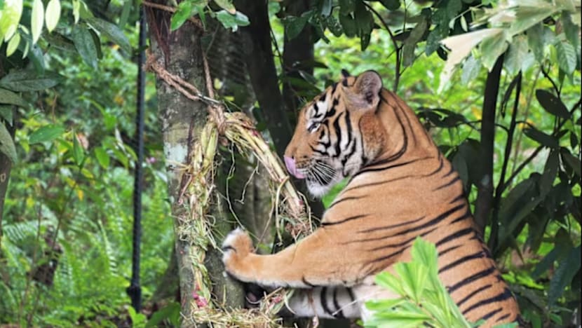 Related article image