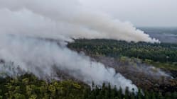 Indonesia tutup kawasan operasi 50 syarikat susuli kebakaran hutan, tanah