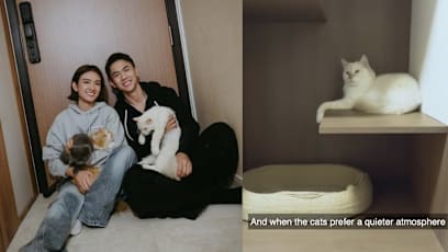 Hong Ling & Nick Teo’s Home Features An Adorable Cat Space, And Plenty Of Room For Future Kids