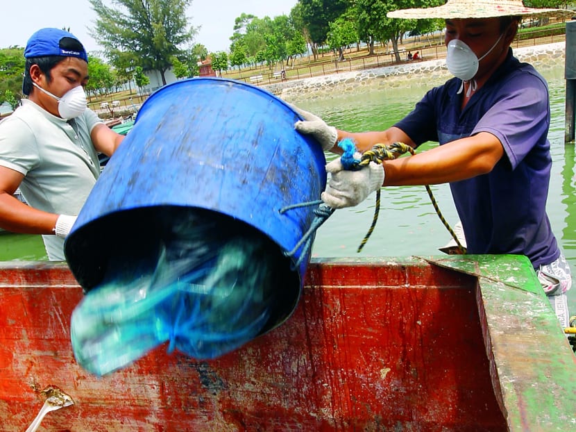 Farmers losing S$15,000 to S$300,000 as mass fish deaths look set to continue