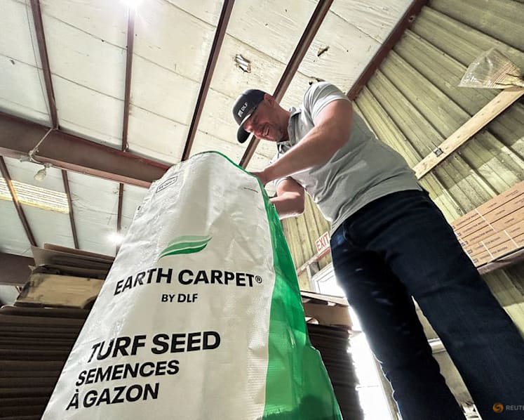 The perfect pitch is the goal for World Cup grass growers