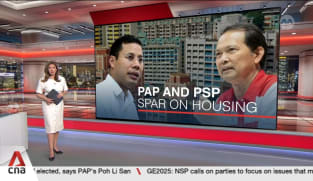 GE2025: Desmond Lee rebuts PSP's Leong Mun Wai, says housing issues have been addressed repeatedly
