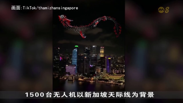 狮城有约 | 科技一点通：2024年网络热门