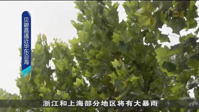 台风贝碧嘉逼近中国 上海两机场今晚取消所有航班