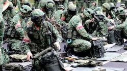 Related article image