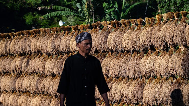 A sacred tradition - why this Indonesian community stockpiles rice to last nearly 100 years