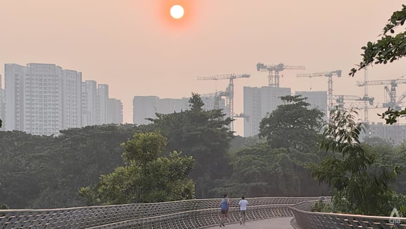 Air quality hits unhealthy range in central, western Singapore