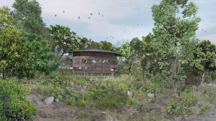 Taman bakau Mandai akan dibuka pada 2028; taman alam semula jadi ketiga terbesar di Singapura