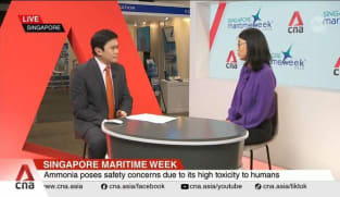 Robust infrastructure key to maritime decarbonisation: IEA