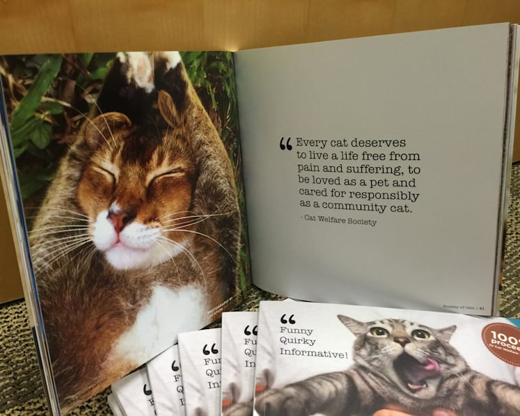 More should be done to assess suitability of those looking to buy a pet: CWS