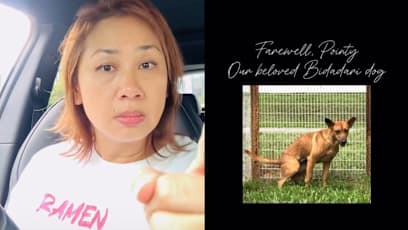 Vernetta Lopez Reacts To Blind Stray Dog’s Death At Bidadari After Hoardings Were Put Up