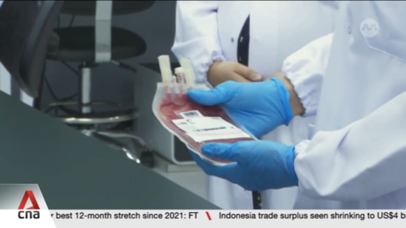 Cord blood banks see surge in calls after Cordlife's latest lapses 