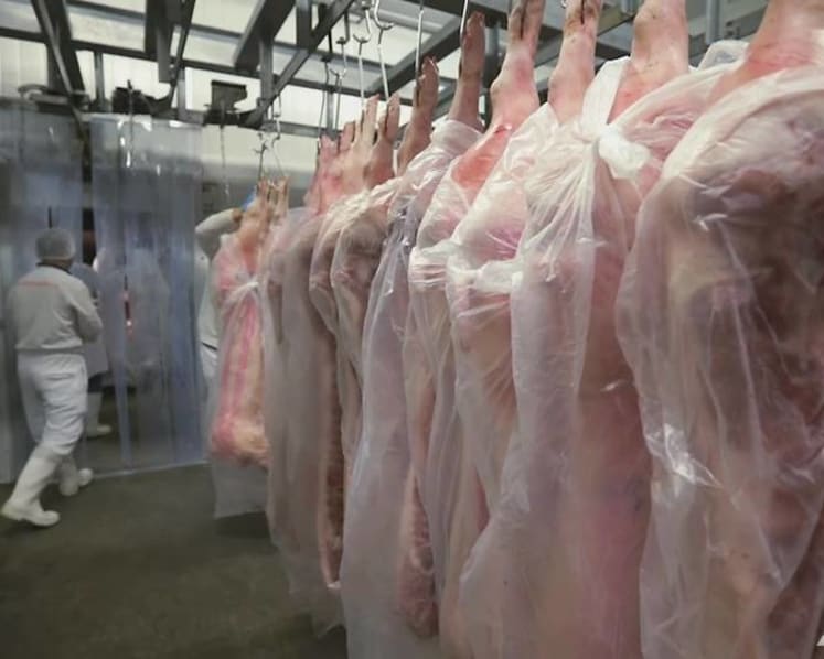 What's making pork more expensive? There's a fatty belly factor