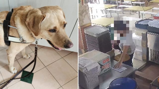 疑不满导盲犬现身咖啡店 妇女与鸡饭摊主起纠纷 摊主报警 