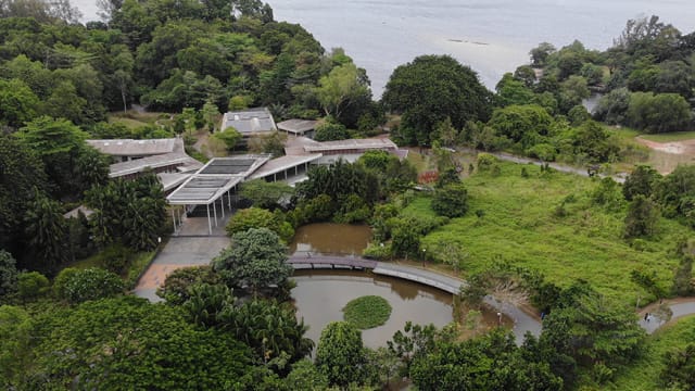 理解问答：访客在双溪布洛湿地被大黄蜂蛰伤
