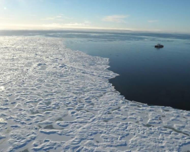 Shades of green: Banks take bigger steps toward greener finance amid climate change push